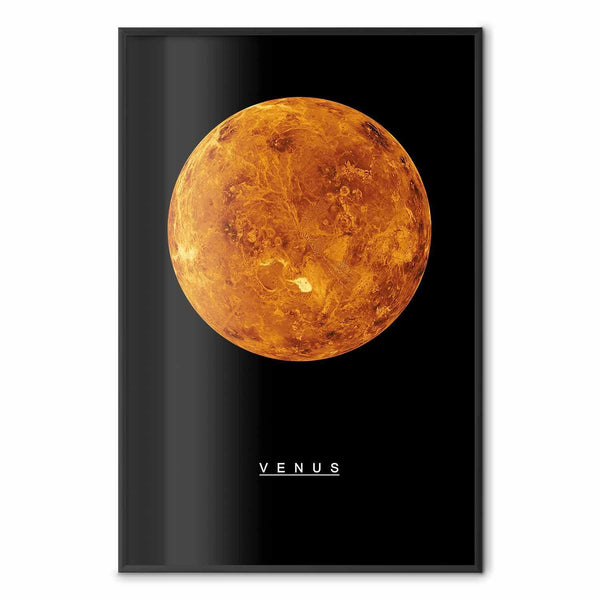 Poster - Venus