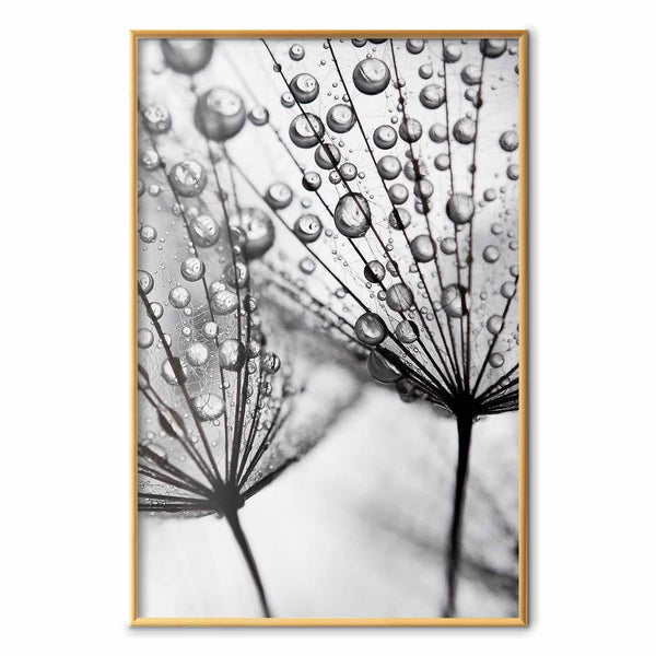 Poster - Macro Dew