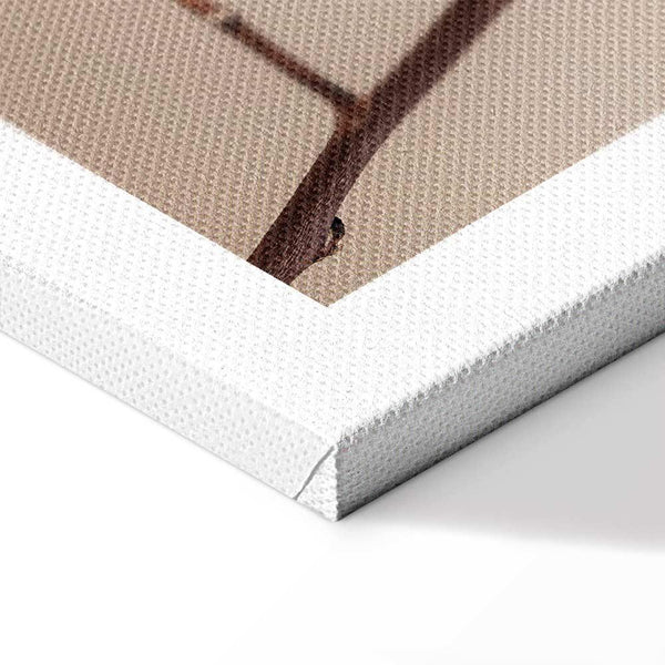 Quadro - Softness of Cotton (1 Part) Vertical