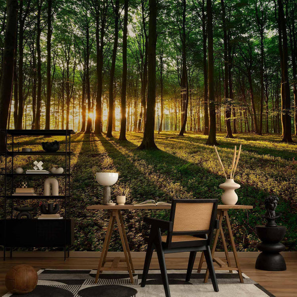 Carta da parati - Mystical Morning