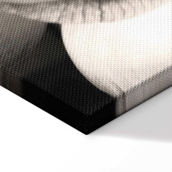 Quadro - Delicacy of Petals in Nature (1-part) - Flower in Black and White