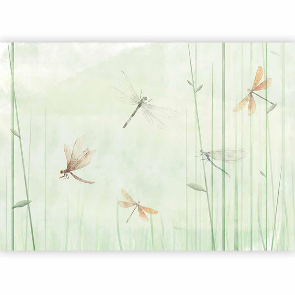 Carta da parati - Dragonflies in the Meadow