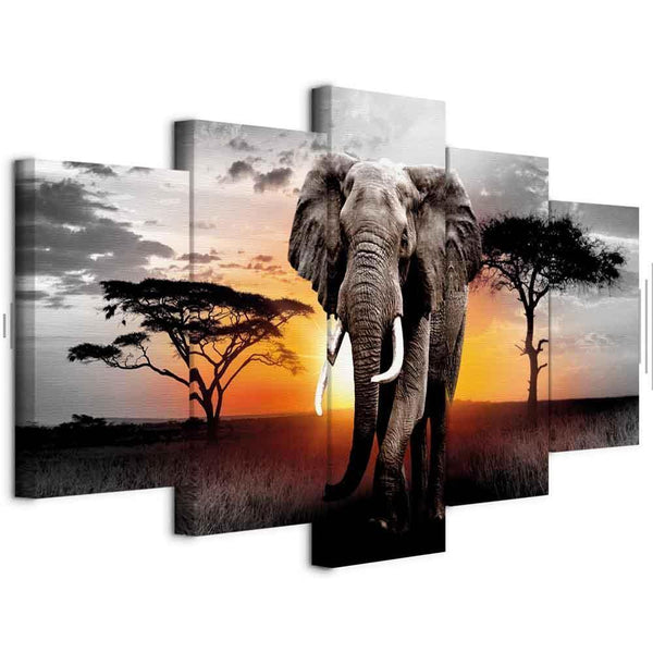 Quadro - Elephant at Sunset