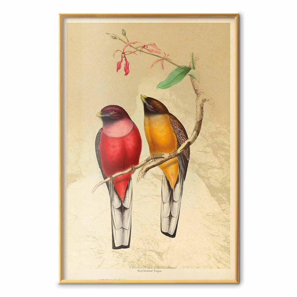 Poster - Birds on a Branch