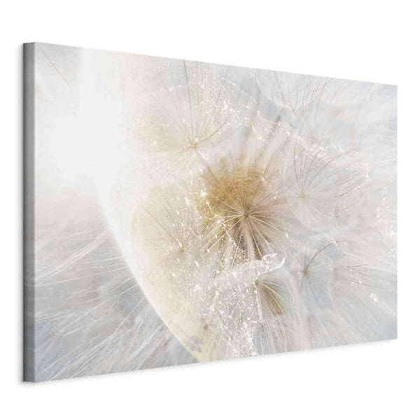 Quadro - Dandelion in the Sun (1 Part) Wide