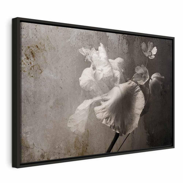 Quadro - Venetian Splendor (1 Part) Wide