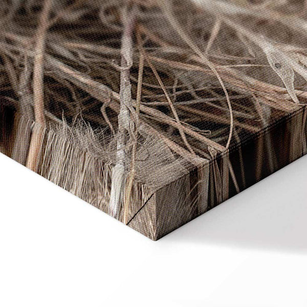 Quadro - Delicate Bunch (1 Part) Vertical