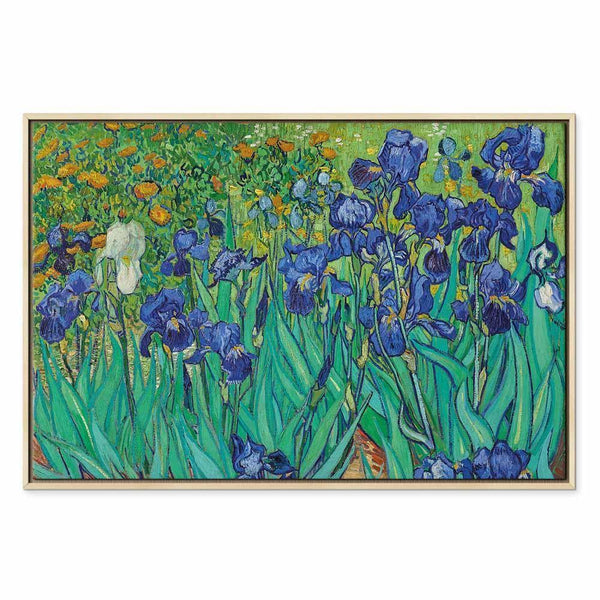Quadro - Vincent Van Gogh – Iryses
