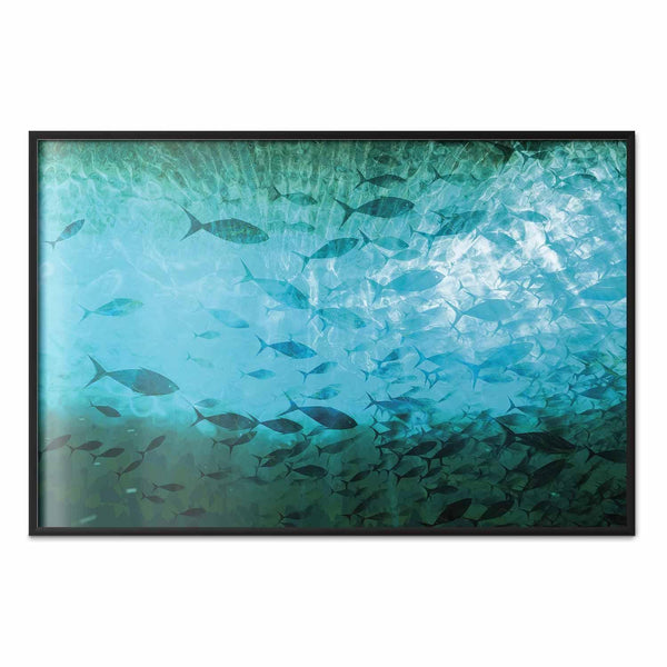 Poster - Group of Dark Fish