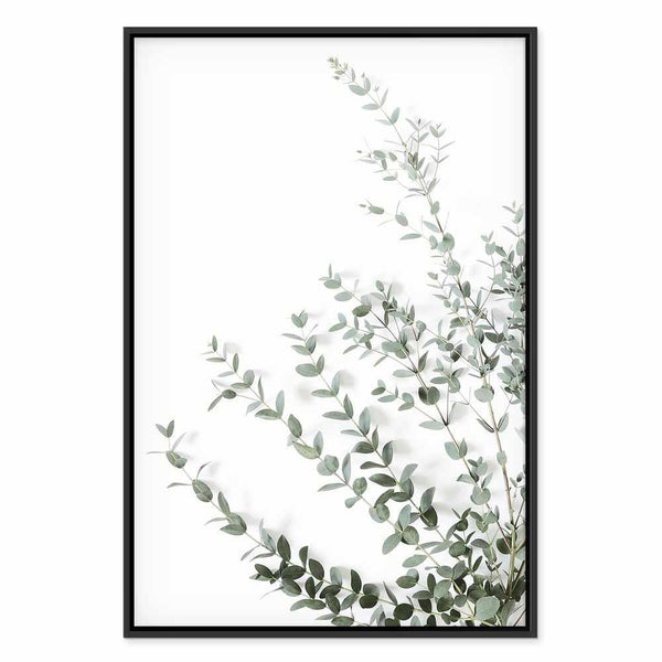 Quadro - Eucalyptus Parvifolia (1 Part) Vertical