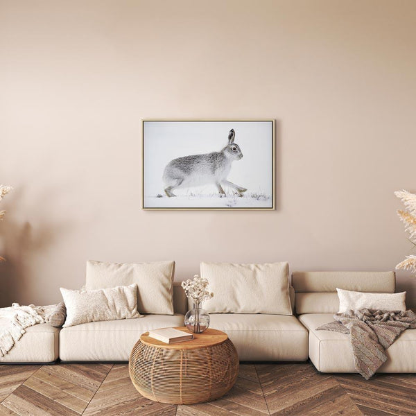 Quadro - Hare (1 Part) Wide