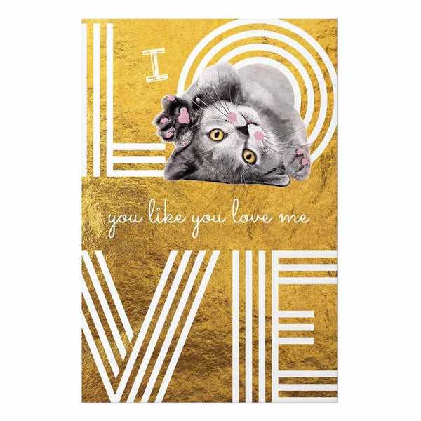 Poster - I Love You Like You Love Me
