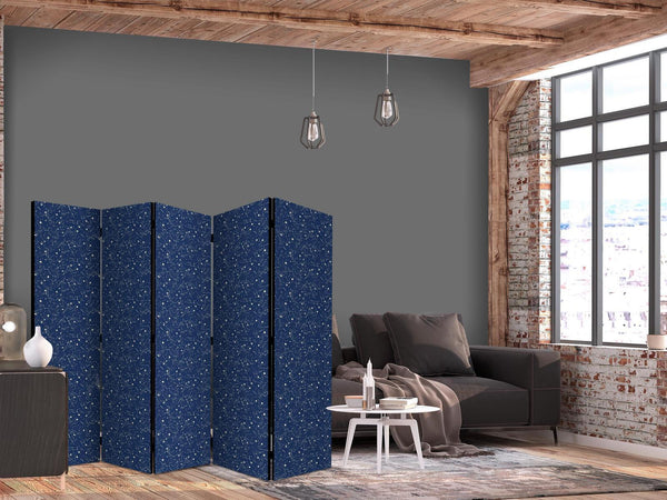 Paravento - Cosmic Inspirations - Pattern with Stars and Constellations on a Dark Background