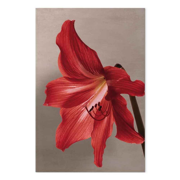 Quadro - Red Flower (1 Part) Vertical