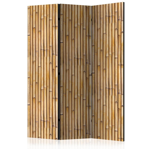 Paravento - Amazonian Wall