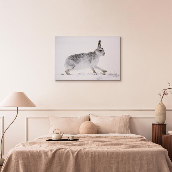 Quadro - Hare (1 Part) Wide