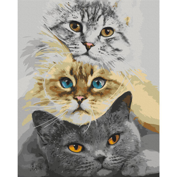 Quadro fai da te - Cat's Trio