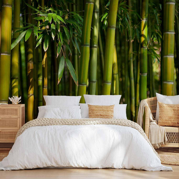 Carta da parati - Eucalyptus alley – bamboo grove in juicy green tone