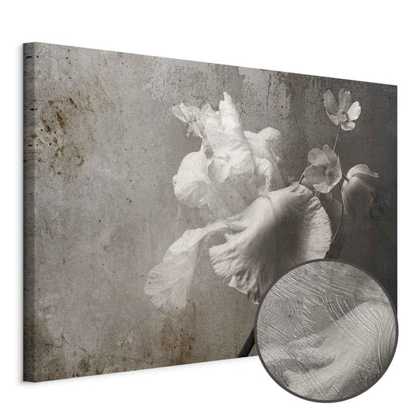 Quadro - Venetian Splendor (1 Part) Wide