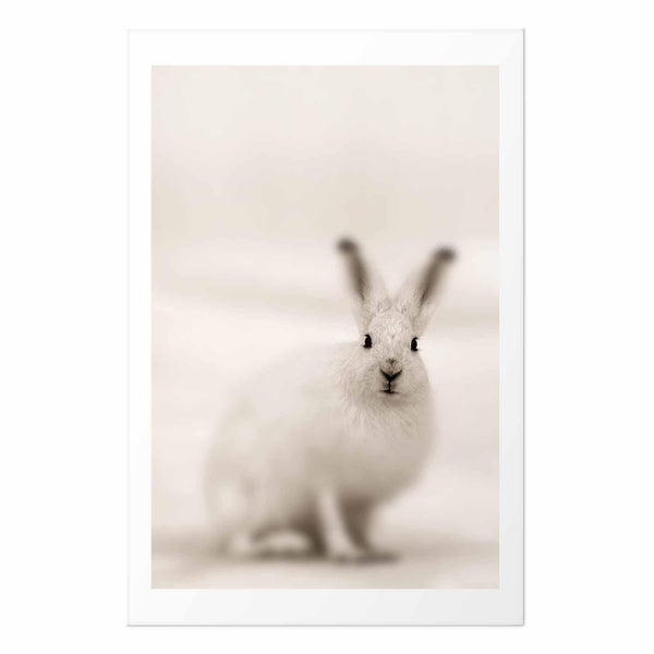 Poster - Fearful Look