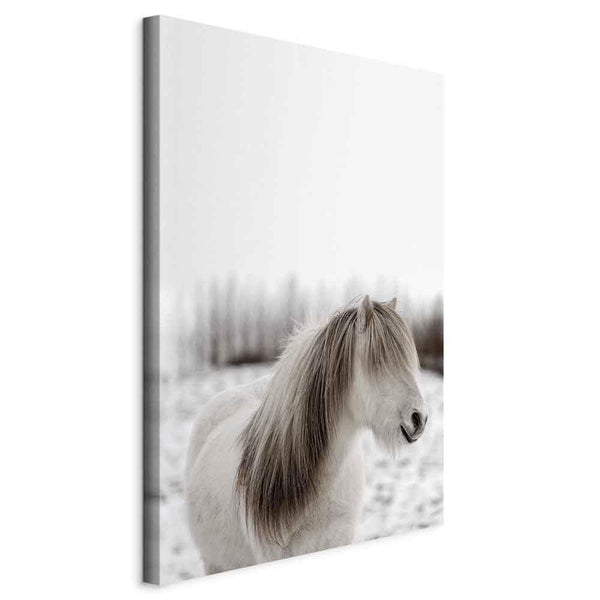 Quadro - Horse Mane (1 Part) Vertical