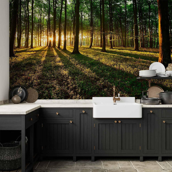 Carta da parati - Spring: Morning in the Forest