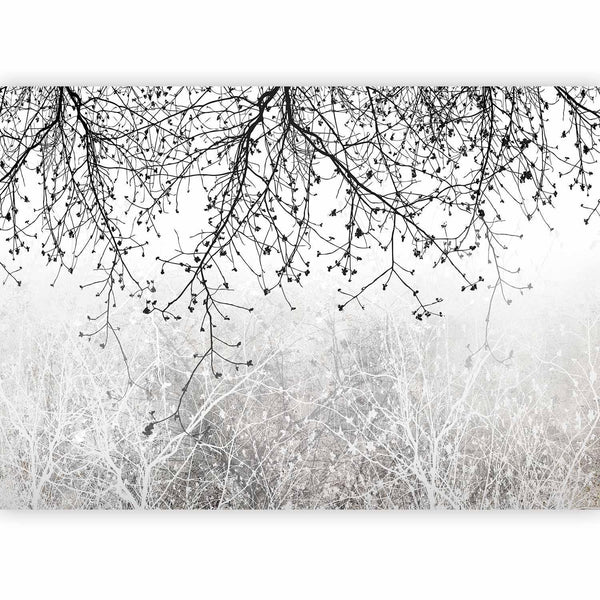Carta da parati - Natural Brightness