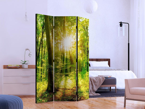 Paravento - Forest Rays