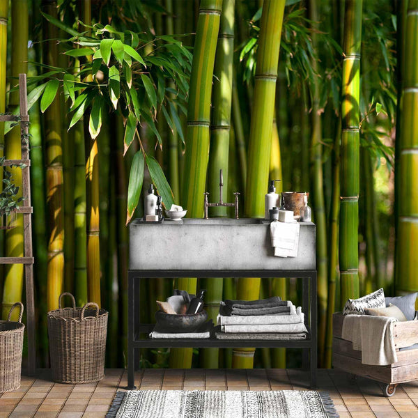 Carta da parati - Eucalyptus alley – bamboo grove in juicy green tone
