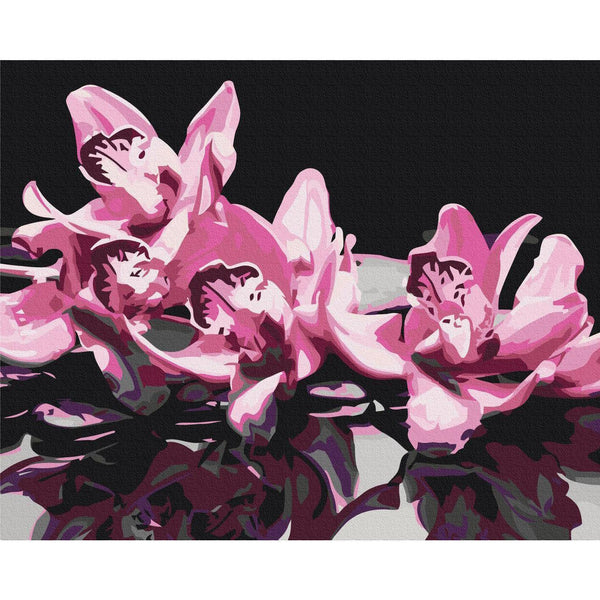 Quadro fai da te - Pink Orchid (Black Background)