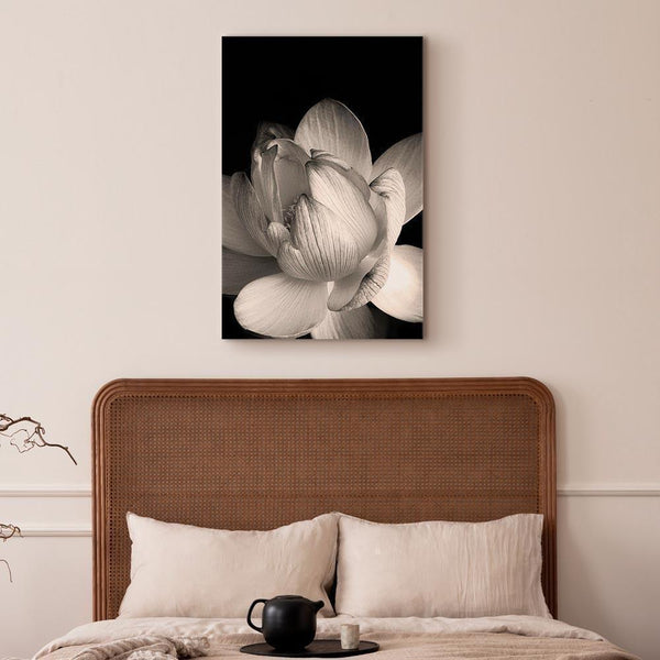 Quadro - Delicacy of Petals in Nature (1-part) - Flower in Black and White