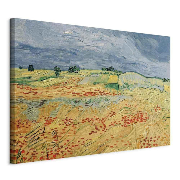 Quadro - Vincent van Gogh – Fields with Poppies
