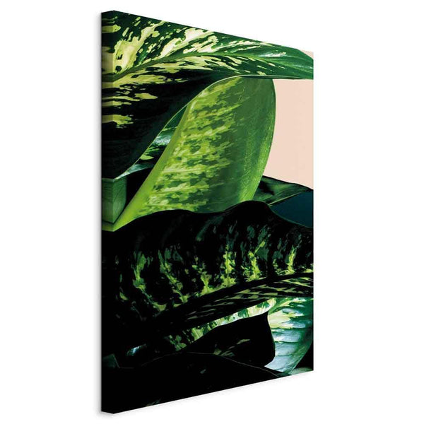 Quadro - Dieffenbachia (1 Part) Vertical