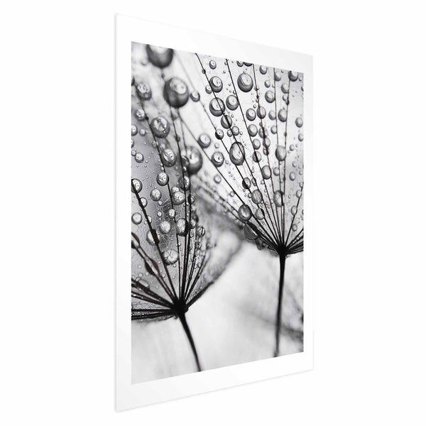 Poster - Macro Dew