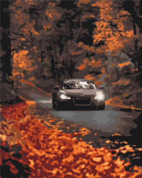 Quadro fai da te - Autumn road through the forest
