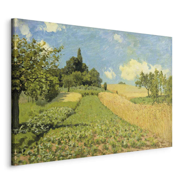 Quadro - Alfred Sisley – Grain fields on the hills of Argenteuil