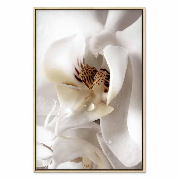 Quadro - Drop Of Dreams (1 Part) Vertical