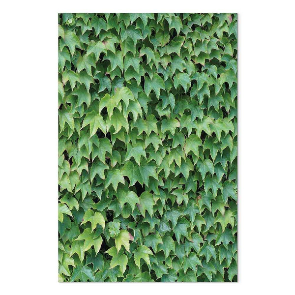 Quadro - Thick Ivy (1 Part) Vertical