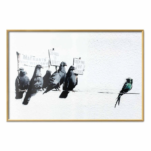 Poster - Xenophobic Pigeons