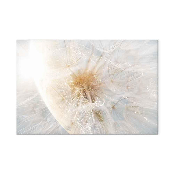 Quadro - Dandelion in the Sun (1 Part) Wide