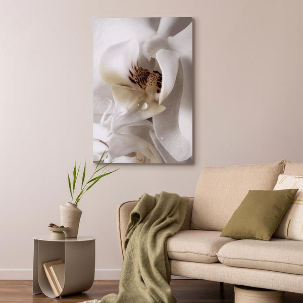 Quadro - Drop Of Dreams (1 Part) Vertical