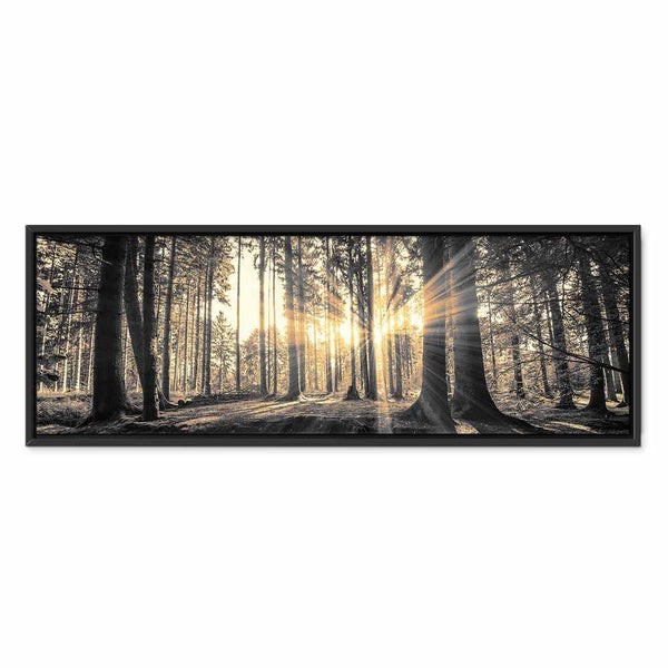 Quadro - Forest Sun