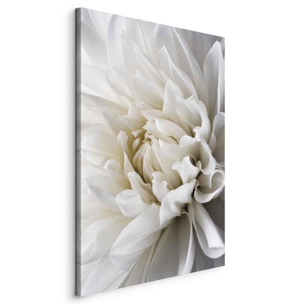 Quadro - White Dahlia