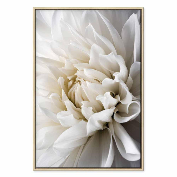 Quadro - White Dahlia