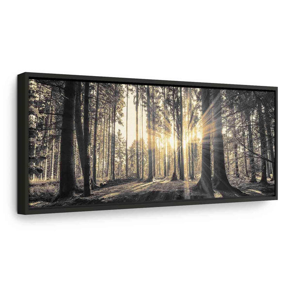 Quadro - Forest Sun
