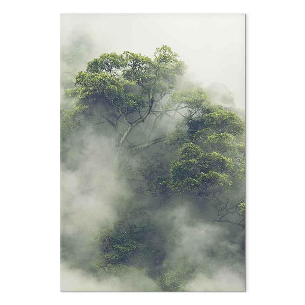 Quadro - Foggy Amazon (1 Part) Vertical