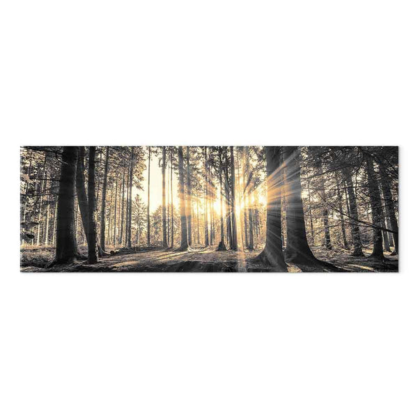 Quadro - Forest Sun