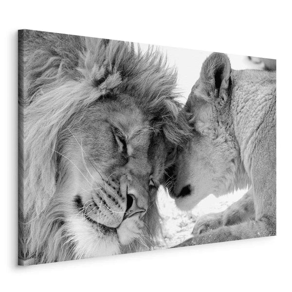 Quadro - Lion's Love