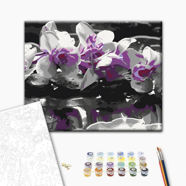 Quadro fai da te - Purple Orchid (Black Background & Reflection In The Water)