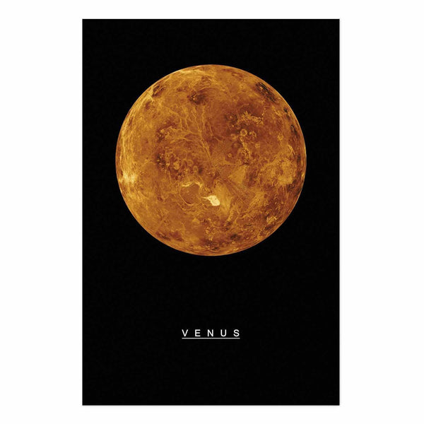 Poster - Venus